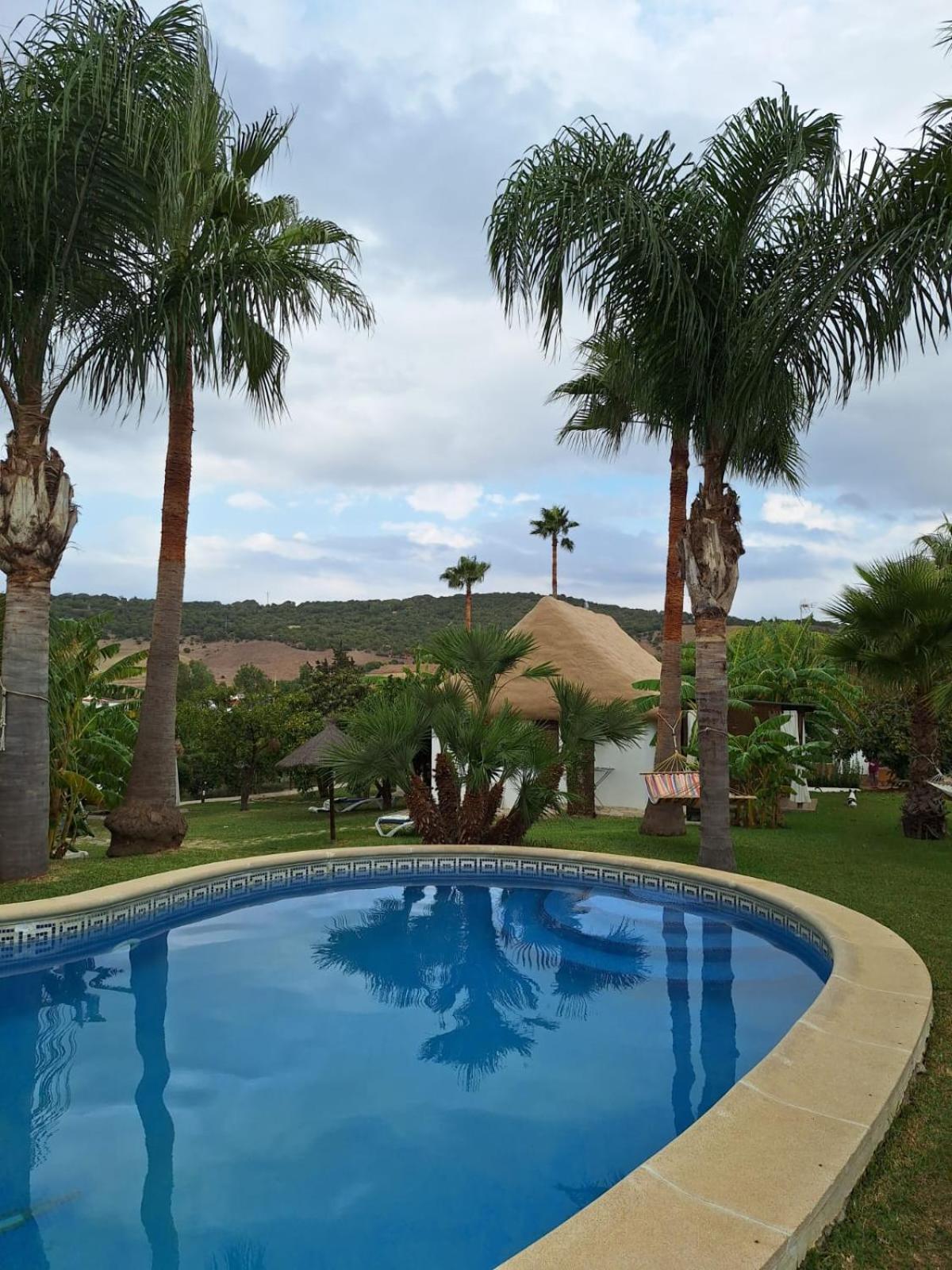Finca El Abuelo Manuel Vejer de la Frontera Exterior foto